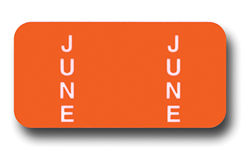 File right™ brand - month labels