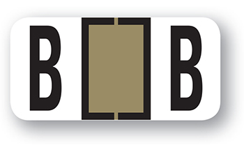 File right™ brand - alphabet labels