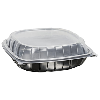 10" rigid 1 cell dinner box container