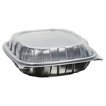 9" rigid 1 cell dinner box container