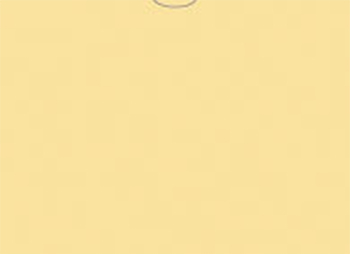 File rite brand™ - plain vehicle deal envelopes - form dsa-500